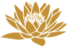 logo_harmonyum